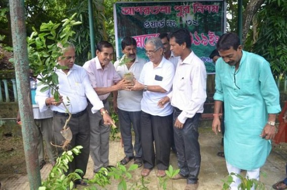 Municipal Corporation held plantation drive in Agartala